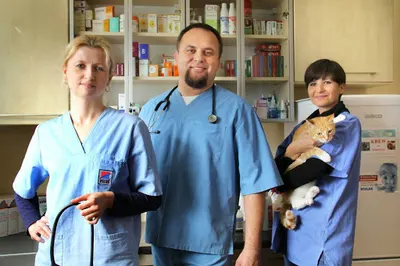 Cztery Łapy. Gabinet weterynaryjny. Blicharz A., lek. wet.